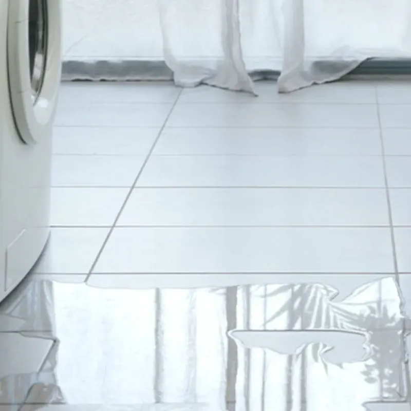 Appliance Leak Cleanup in Hallandale Beach, FL